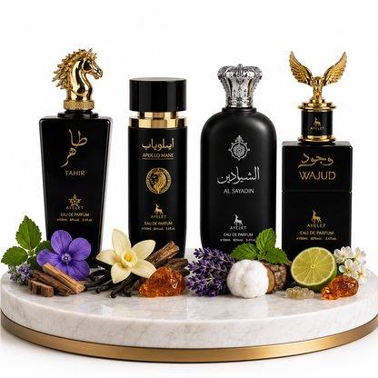 Комплект от 4 арабски мъжки парфюма 100ML - Tahir + Apollo Mane Black + Al Sayadin + Wajud